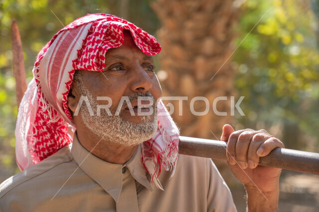 Preparing to plow green agricultural lands, the concept of the agricultural profession, the role of Saudi farmers in preserving agricultural heritage and local production, a close-up photo of an elderly Saudi Arabian Gulf farmer wearing traditional folk dress, holding a drilling tool in his hand, walking around palm farms.