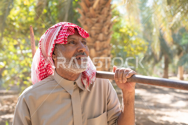 مفهوم مهنة الفلاحة، الاستعداد لحراثة الأراضي الزراعية الخضراء ،دور الفلاحين السعوديين في المحافظة على التراث الزراعي والإنتاج المحلي، صورة مقربة لفلاح كبير السن عربي خليجي سعودي يرتدي الزي الشعبي التقليدي يحمل بيده أداة الحفر يتجول في مزارع النخيل