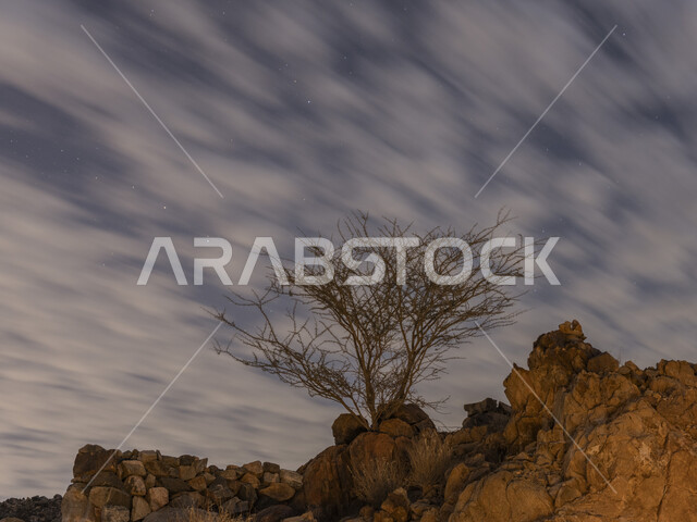 التكوينات والتشكيلات الصخرية في مدينة الطائف، القمم والمرتفعات الجبلية في المملكة العربية السعودية، الاستمتاع بالمناظر الطبيعيه في الأماكن السياحيه، منظر الغيوم الكثيفة في السماء، الأشجار والنباتات الصحراوية