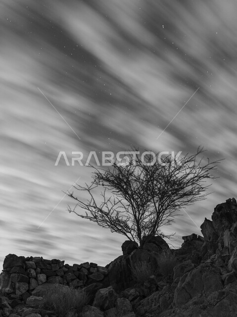 Mountain peaks and heights in the Kingdom of Saudi Arabia, black and white silhouette of trees and desert plants above the formations and rock formations in the city of Taif, view of dense clouds in the sky, nature background, salulite