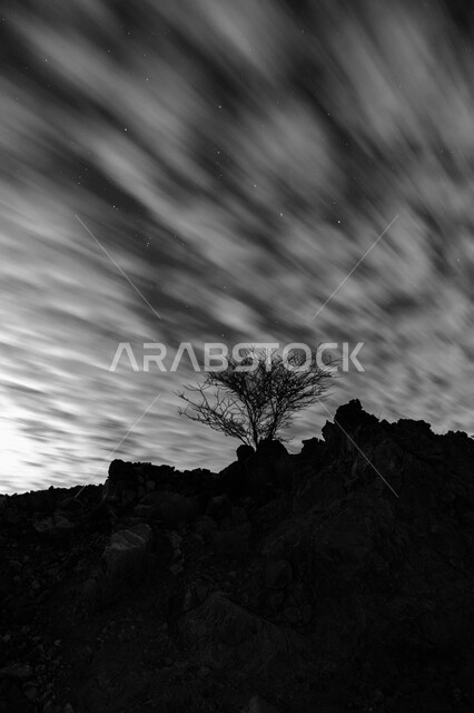 Mountain peaks and heights in the Kingdom of Saudi Arabia, black and white silhouette of trees and desert plants above the formations and rock formations in the city of Taif, view of dense clouds in the sky, nature background, salulite