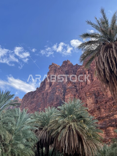 سلسلة الجبال والتكوينات والتشكلات الصخرية في وادي الديسة في منطقة تبوك، الاهتمام بالزراعة والتشجير في المدن السياحية، التضاريس والنحت الصخري في الأماكن الاثرية التاريخية المشهورة في السعودية، النباتات البرية الخضراء في المناطق الصحراوية