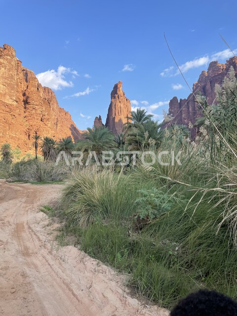 Topography and rock sculpture in famous historical archaeological sites in Saudi Arabia, green wild plants in desert areas, mountain ranges and rock formations in Wadi Al-Disa in the Tabuk region, interest in agriculture and afforestation in tourist cities.
