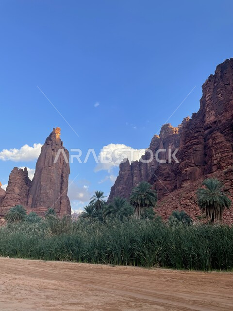 Topography and rock sculpture in famous historical archaeological sites in Saudi Arabia, green wild plants in desert areas, mountain ranges and rock formations in Wadi Al-Disa in the Tabuk region, interest in agriculture and afforestation in tourist cities.