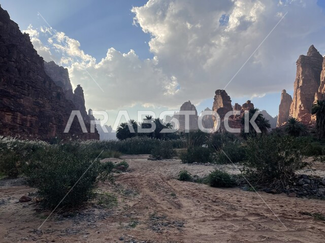 النباتات البرية الخضراء في المناطق الصحراوية، سلسلة الجبال والتكوينات والتشكلات الصخرية في وادي الديسة في منطقة تبوك، الاهتمام بالزراعة والتشجير في المدن السياحية، التضاريس والنحت الصخري في الأماكن الاثرية التاريخية المشهورة في السعودية