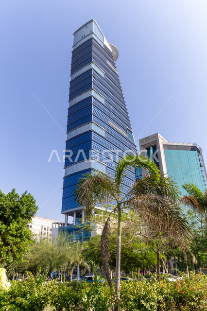 الفن الهندسي المعماري برج اللهيدكوارترز، صورة مقربة للشجيرات والنباتات الخضراء أمام برج الكورنيش في مدينة جدة، معالم وأماكن سياحية مشهورة، زراعة أشجار النخيل في المدن الساحلية