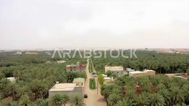 البيوت الطينية القديمة وسط واحات النخيل في الاحساء في المملكة، الاشجار والنباتات الخضراء، اراضي ومحاصيل زراعية وطنية، المناطق الطبيعية في السعودية