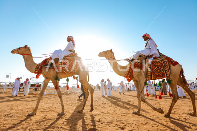 Raising camels in natural reserves, the anniversary of the founding of the first Saudi state on February 22, Day of Badina 1727 AD, National Day on September 23, generational transmission of love for camels from ancestors, a group of Saudi Gulf Arab men riding camels in the desert, practicing traditional popular activities