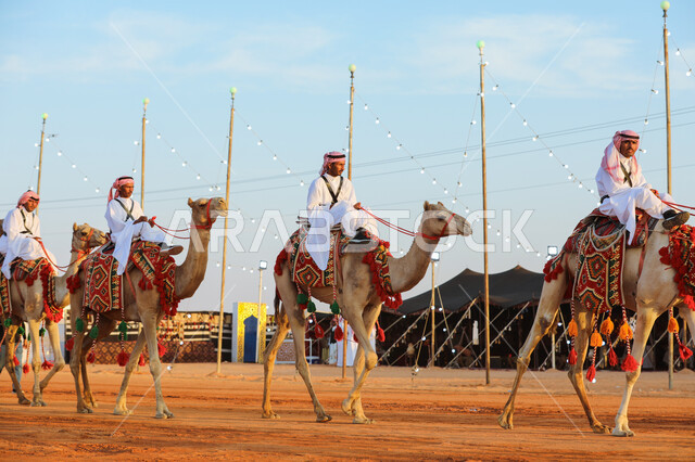 تربية الجمال في المحميات الطبيعية، ذكرى تأسيس الدولة السعودية الأولى في 22 فبراير, يوم بدينا 1727م, اليوم الوطني في 23 سبتمبر, توارث الأجيال حب النوق من الأجداد، مجموعة من الرجال العرب الخليجين السعوديين يمتطون الابل في الصحراء، ممارسة الانشطة الشعبية التراثية