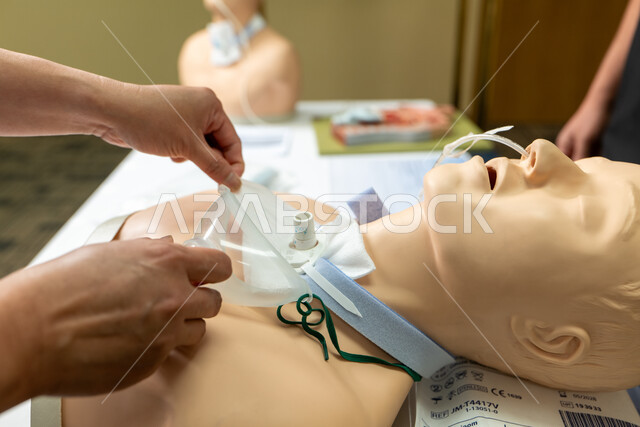 إستخدام الأدوات الطبية لتعلم طريقة تركيب الأكسجين على المجرى التنفسي، صورة مقربة ليد طبيب مسعف في تدريب سي بي ار من خلال مجسم على شكل إنسان، دورات التمريض والإسعافات الأولية لتعلم التعامل مع حالات الطوارئ، إقامة دورة تدريبية في مجال السلامة والصحة الجسدية