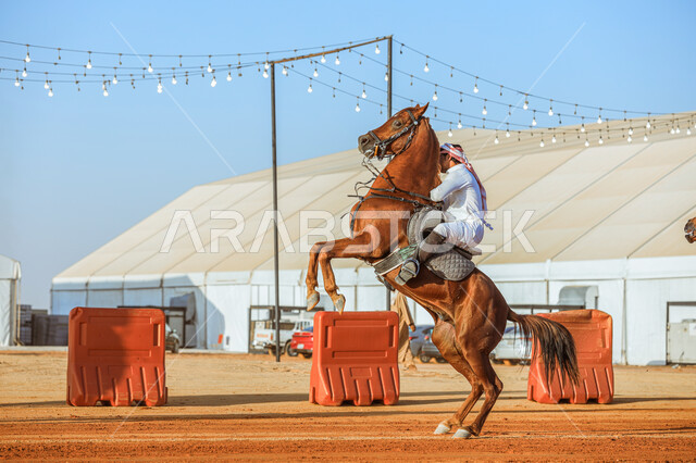 Our Day 1727 AD, the anniversary of the founding of the first Saudi state on February 22, commemoration of the National Day on September 23, the passion for equestrianism and the hobby of riding horses, a picture from the side of a Saudi Arabian Gulf horseman taming and training horses in one of the nature reserves, events and festivals in the Kingdom