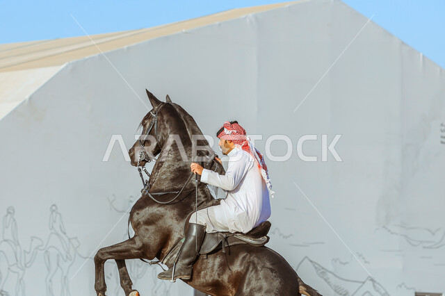 شغف الفروسية وهواية ركوب الأحصنة، صورة من الجانب لفارس عربي خليجي سعودي يقوم بترويض وتدريب الجياد في إحدى المحميات الطبيعة, فعاليات ومهرجانات في المملكة, يوم بدينا 1727م, ذكرى تأسيس الدولة السعودية الأولى في 22 فبراير, استذكار اليوم الوطني في 23 سبتمبر