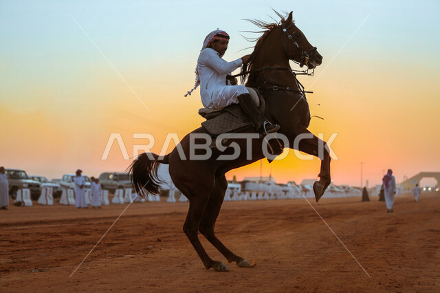 يوم بدينا 1727م, ذكرى تأسيس الدولة السعودية الأولى في 22 فبراير, استذكار اليوم الوطني في 23 سبتمبر, شغف الفروسية وهواية ركوب الأحصنة، صورة من الجانب لفارس عربي خليجي سعودي يقوم بترويض وتدريب الجياد في إحدى المحميات الطبيعة, فعاليات ومهرجانات في المملكة