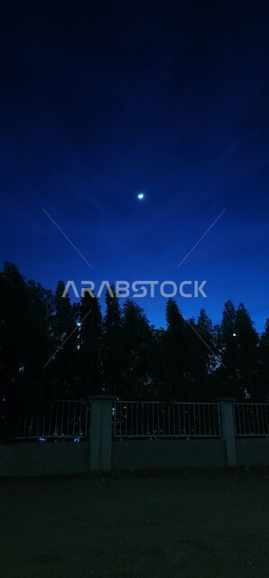 A view from behind the walls in the pitch black of the night, trees and plants under the moonlight in the middle of darkness in the city of Yanbu in the Kingdom of Saudi Arabia, nature background