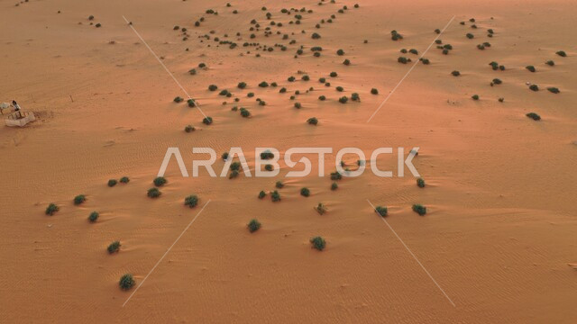 نمو النباتات والأعشاب البرية في الصحاري، الرمال الذهبية الناعمة والكثبان في الصحراء العربية، نفود الخرارة في مدينة الرياض في النهار، الهضاب والتلال الرملية في المناطق الطبيعية الصحراوية في المملكة العربية السعودية