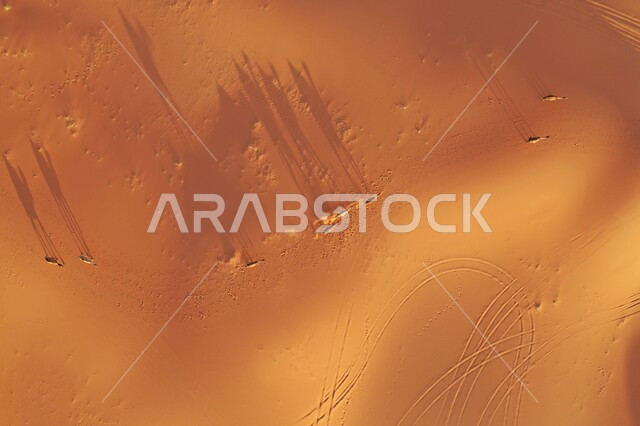 صورة علوية عامودية لمجموعة من قطيع الجمال العربية في وسط نفود الخرارة في النهار، التشكيلات الرملية في المناطق الطبيعية الصحراوية في المملكة العربية السعودية، الكثبان والرمال الذهبية الناعمة صحراء مدينة الرياض