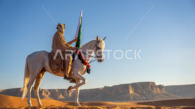 مشاركة الجياد في المناسبات والأعياد الوطنية، الاحتفال مع الأحصنة بيوم بدينا  1727 م، ذكرى تأسيس الدولة السعودية الأولى 22 فبراير، رجل عربي خليجي سعودي يرتدي البشت والغترة مع العقال الذهبي يمتطي خيل أبيض أصيل وسط الرمال الذهبية، رفع علم وشعار التأسيس في الصحراء