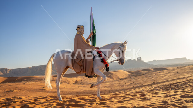 مشاركة الجياد في المناسبات والأعياد الوطنية، الاحتفال مع الأحصنة بيوم بدينا  1727 م، ذكرى تأسيس الدولة السعودية الأولى 22 فبراير، رجل عربي خليجي سعودي يرتدي البشت والغترة مع العقال الذهبي يمتطي خيل أبيض أصيل وسط الرمال الذهبية، رفع علم وشعار التأسيس في الصحراء