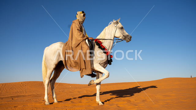 مفهوم العناية بالأحصنة في المملكة, إحياء التراث الشعبي في تربية الجياد, صورة من الجانب لفارس عربي خليجي سعودي يمتطي فرس أبيض أصيل ويتجول في المناطق الصحراوية, ذكرى تأسيس الدولة السعودية الأولى في 22 فبراير, يوم بدينا 1727م