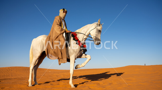 مفهوم العناية بالأحصنة في المملكة, إحياء التراث الشعبي في تربية الجياد, صورة من الجانب لفارس عربي خليجي سعودي يمتطي فرس أبيض أصيل ويتجول في المناطق الصحراوية, ذكرى تأسيس الدولة السعودية الأولى في 22 فبراير, يوم بدينا 1727م