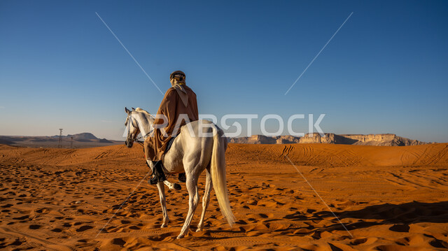  الشغف بتربية الخيول في السعودية, التجول على ظهر الفرس الأبيض الأصيل في إحدى صحاري المملكة, يوم بدينا 1727م, ذكرى تأسيس الدولة السعودية الأولى في 22 فبراير, صورة من الخلف لفارس عربي خليجي سعودي يرتدي البشت والعقال الذهبي يمارس هواية ركوب الخيل في النهار