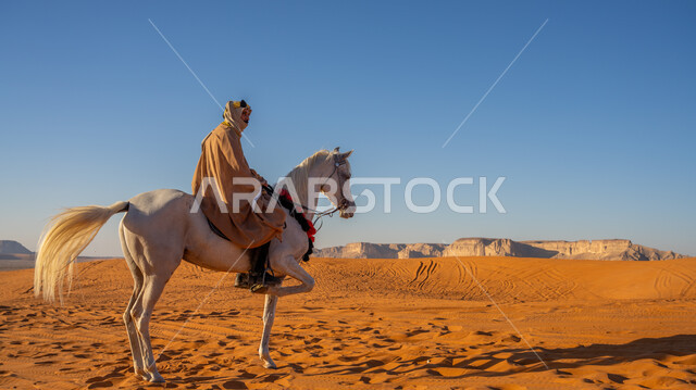 ذكرى تأسيس الدولة السعودية الأولى في 22 فبراير, صورة من الجانب لفارس عربي خليجي سعودي يرتدي البشت والعقال الذهبي يمارس هواية ركوب الخيل في النهار, التجول على ظهر الفرس الأبيض الأصيل في إحدى صحاري المملكة, يوم بدينا 1727م, الشغف بتربية الخيول في السعودية