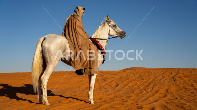 ذكرى تأسيس الدولة السعودية الأولى في 22 فبراير, يوم بدينا 1727م, مفهوم العناية بالأحصنة في المملكة, إحياء التراث الشعبي في تربية الجياد, صورة من الخلف لفارس عربي خليجي سعودي يمتطي فرس أبيض أصيل ويتجول في المناطق الصحراوية