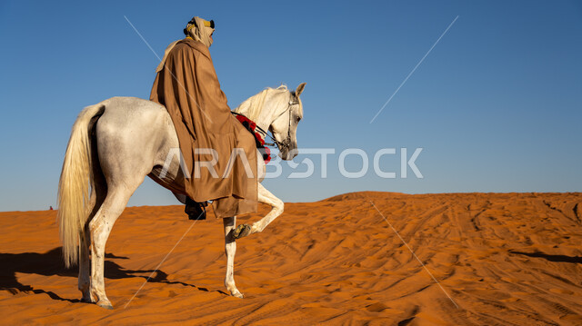 ذكرى تأسيس الدولة السعودية الأولى في 22 فبراير, يوم بدينا 1727م, مفهوم العناية بالأحصنة في المملكة, إحياء التراث الشعبي في تربية الجياد, صورة من الخلف لفارس عربي خليجي سعودي يمتطي فرس أبيض أصيل ويتجول في المناطق الصحراوية