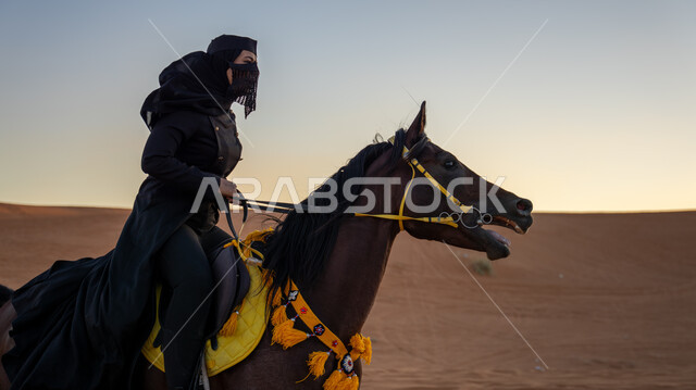 Enjoying practicing traditional hobbies, riding a horse in the Arabian desert during the day, a Saudi Arabian Gulf horsewoman wearing a burqa and black abaya riding a purebred brown horse, Day of Fatty 1727 AD, the anniversary of the founding of the first Saudi state on February 22, following the traditions of our ancestors in loving and raising horses