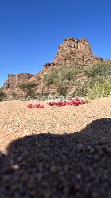 التضاريس الجبليه في السعوديه، منظر المرتفعات والتكوينات الصخريه في النهار، صورة مقربه لجبل صخري  في مدينة خيبر بالمملكة العربية السعودية، أشجار ونباتات خضراء