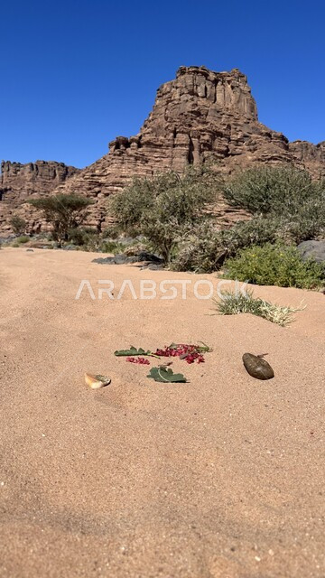  منظر المرتفعات والتكوينات الصخريه في النهار، التضاريس الجبليه في السعوديه، أشجار ونباتات خضراء، صورة مقربه لجبل صخري  في مدينة خيبر بالمملكة العربية السعودية