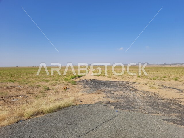 منظر السماء الزرقاء الصافية في النهار، نمو النباتات الخضراء البرية على حافتي الشارع, طريق بين مدينة الحجرة في منطقة الباحة الطريق الساحلي لمدينة ابها في جدة,  الطرقات والشوارع الاسفلتية المعبدة والمهيئة للسفر في المملكة العربية السعودية
