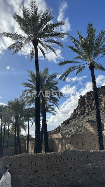 Towering palm trees, ancient archaeological and historical places, civilizations and cultures of the Kingdom of Saudi Arabia, ancient architectural art in the city of Khaybar, Saudi Arabia