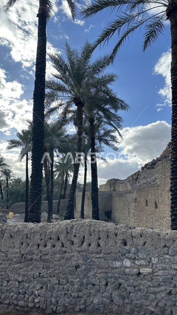 Ancient architectural art in the city of Khaybar, Saudi Arabia, civilizations and cultures of the Kingdom of Saudi Arabia, towering palm trees, ancient archaeological and historical places, heritage mud wall