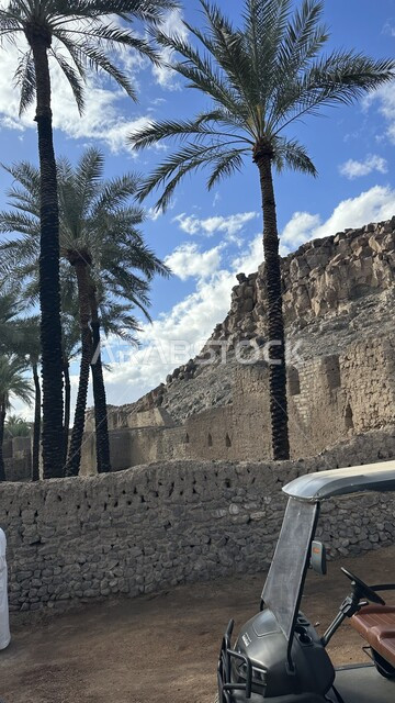 جذب السياح إلى الأماكن الأثرية والتاريخية القديمة، الفن الهندسي المعماري القديم في مدينة خيبر السعودية، حضارات وثقافات المملكة العربية السعودية، أشجار النخيل الشاهقة، سيارة سياحة تنقل السياح إلى المعالم السياحية