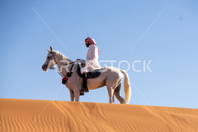 مفهوم العناية بالأحصنة, يوم بدينا 1727م, إحياء التراث الشعبي في تربية الجياد, ذكرى تأسيس الدولة السعودية الأولى في 22 فبراير, صورة من الجانب لفارس عربي خليجي سعودي يرتدي الزي التقليدي يمتطي فرس أبيض أصيل ويتجول في المناطق الصحراوية في النهار