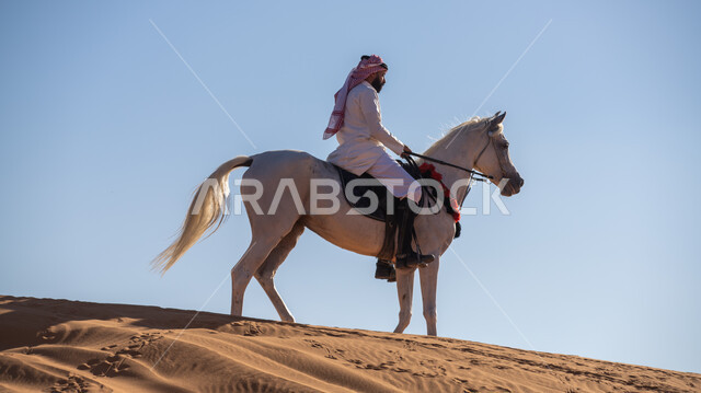 مفهوم العناية بالأحصنة, يوم بدينا 1727م, إحياء التراث الشعبي في تربية الجياد, ذكرى تأسيس الدولة السعودية الأولى في 22 فبراير, صورة من الجانب لفارس عربي خليجي سعودي يرتدي الزي التقليدي يمتطي فرس أبيض أصيل ويتجول في المناطق الصحراوية في النهار