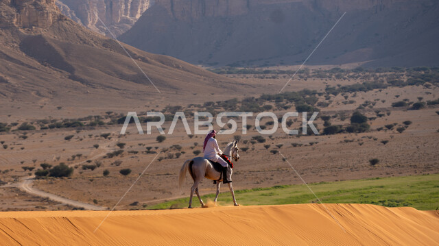 مفهوم العناية بالأحصنة, يوم بدينا 1727م, إحياء التراث الشعبي في تربية الجياد, ذكرى تأسيس الدولة السعودية الأولى في 22 فبراير, صورة من الجانب لفارس عربي خليجي سعودي يرتدي الزي التقليدي يمتطي فرس أبيض أصيل ويتجول في المناطق الصحراوية في النهار