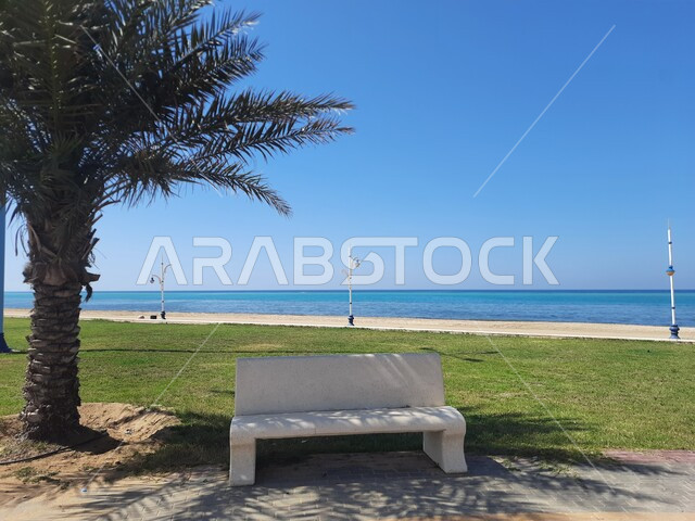 الواجهة البحرية في محافظه الليث بمنطقه مكه المكرمه, كورنيش الوسقه على البحر الاحمر في النهار، مناطق النزهات والر حلات الترفيهية في العطلة الصيفية، الاهتمام بزراعة أشجار النخيل والنباتات الخضراء في المدن الساحلية، المعالم السياحية المشهورة