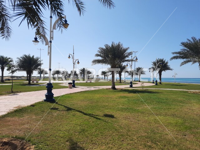 الاهتمام بزراعة أشجار النخيل والنباتات الخضراء في المدن الساحلية، الواجهة البحرية في محافظه الليث بمنطقه مكه المكرمه, المناطق والمعالم السياحية المشهورة, كورنيش الوسقه على البحر الاحمر في النهار