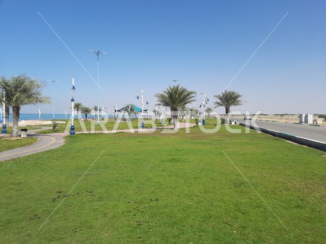 الاهتمام بزراعة أشجار النخيل والنباتات الخضراء في المدن الساحلية، الواجهة البحرية في محافظه الليث بمنطقه مكه المكرمه, المناطق والمعالم السياحية المشهورة, كورنيش الوسقه على البحر الاحمر في النهار