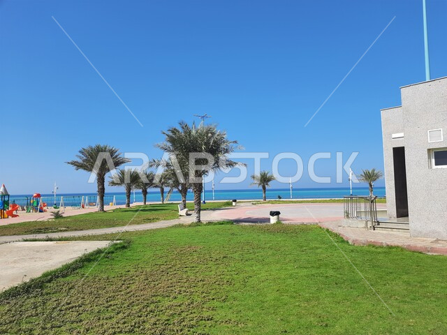 Interest in planting palm trees and green plants in coastal cities, the waterfront in Al-Laith Governorate in the Makkah Al-Mukarramah region, famous tourist areas and attractions, Al-Wasqa Corniche on the Red Sea during the day.