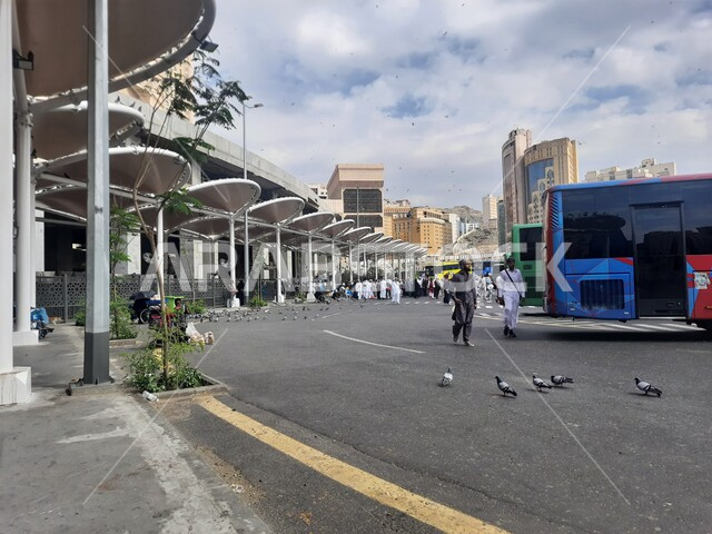 السماء الملبدة بالغيوم, طيور الحمام تأكل الحبوب في موقف كدي للحافلات بجوار الحرم المكي الشريف في مكة المكرمة، أماكن ومعالم دينية اسلامية مقدسة في المملكة، وسائل النقل والمواصلات التي تنقل الحجاج من مكان الى اخر, السياحة الدينية في السعودية