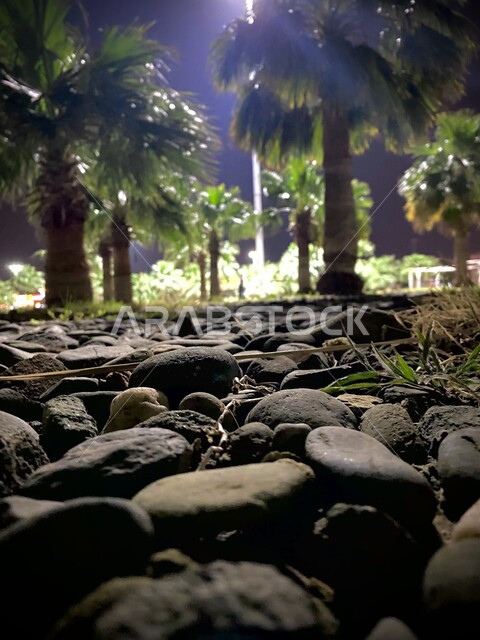 الاهتمام بزراعة النباتات وأشجار النخيل، صورة من الأسفل للحجارة و الأشجار في حديقة في منطقة جازان بالمملكة العربية، المناظر الطبيعية الجمالية بالسعودية، المدن والمعالم السياحية