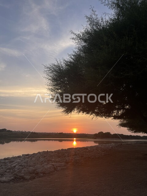 غروب الشمس على شاطئ البحر، المناظر الطبيعية البحرية الهادئة، تأمل السماء والبحر، الاهتمام بزراعة الأشجار في المدن السياحية