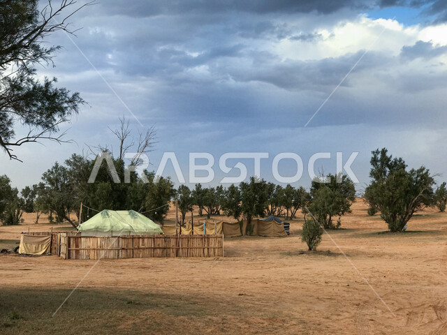 خيمة وسط صحراء النفود في المملكة العربية السعودية, البيئة الصحراوية والطبيعه الجبلية، معالم وأماكن طبيعية سياحية مشهورة, منظر السماء المليئة بالغيوم القطنية, الأشجار والنباتات الخضراء