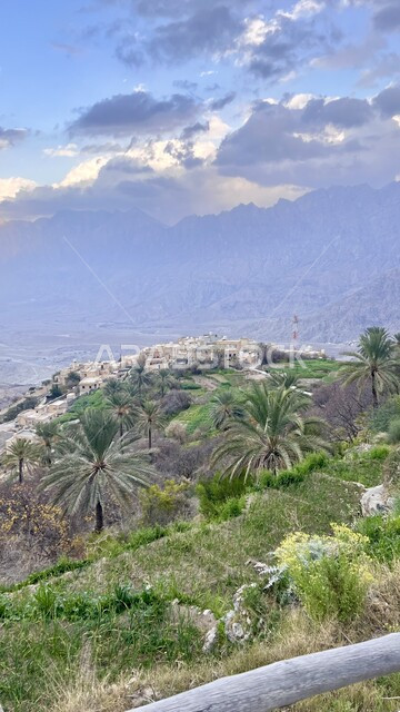 Enjoying the natural scenery during the day, tourist areas and spending a pleasant time, trees and green plants on mountain peaks and heights, tourist attractions of the Sultanate of Oman