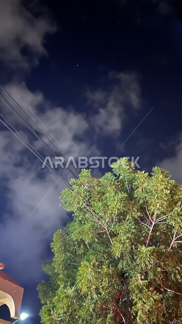 منظر الغيوم البيضاء في السماء, الاستمتاع بالأجواء الليلة الهادئة في ولاية الرستاق في سلطنة عمان, صورة مقربة للأشجار والنباتات الخضراء في وقت الليل، خلفية الطبيعة