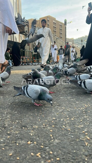 الحجاج والمعتمرين يقومون بإطعام طيور الحمام في الساحة الخارجية للحرم المكي في مكة المكرمه، التجمع الاسلامي لأداء العبادات والتقرب الى الله, أماكن ومعالم دينية اسلامية مقدسة, السماء الزرقاء المليئة بالسحب البيضاء, الفنادق والأبراج المحيطة بالمسجد الحرام