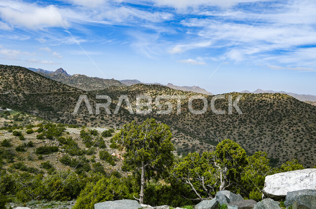 مناظر الطبيعة الجبلية المتميزة على الهضاب والمرتفعات في المملكة العربية السعودية، جبال دقة الخضراء الخصبة في منطقة شفا في مدينة الطائف، منظر الغيوم البيضاء في السماء، الاهتمام بالتشجير والزراعة